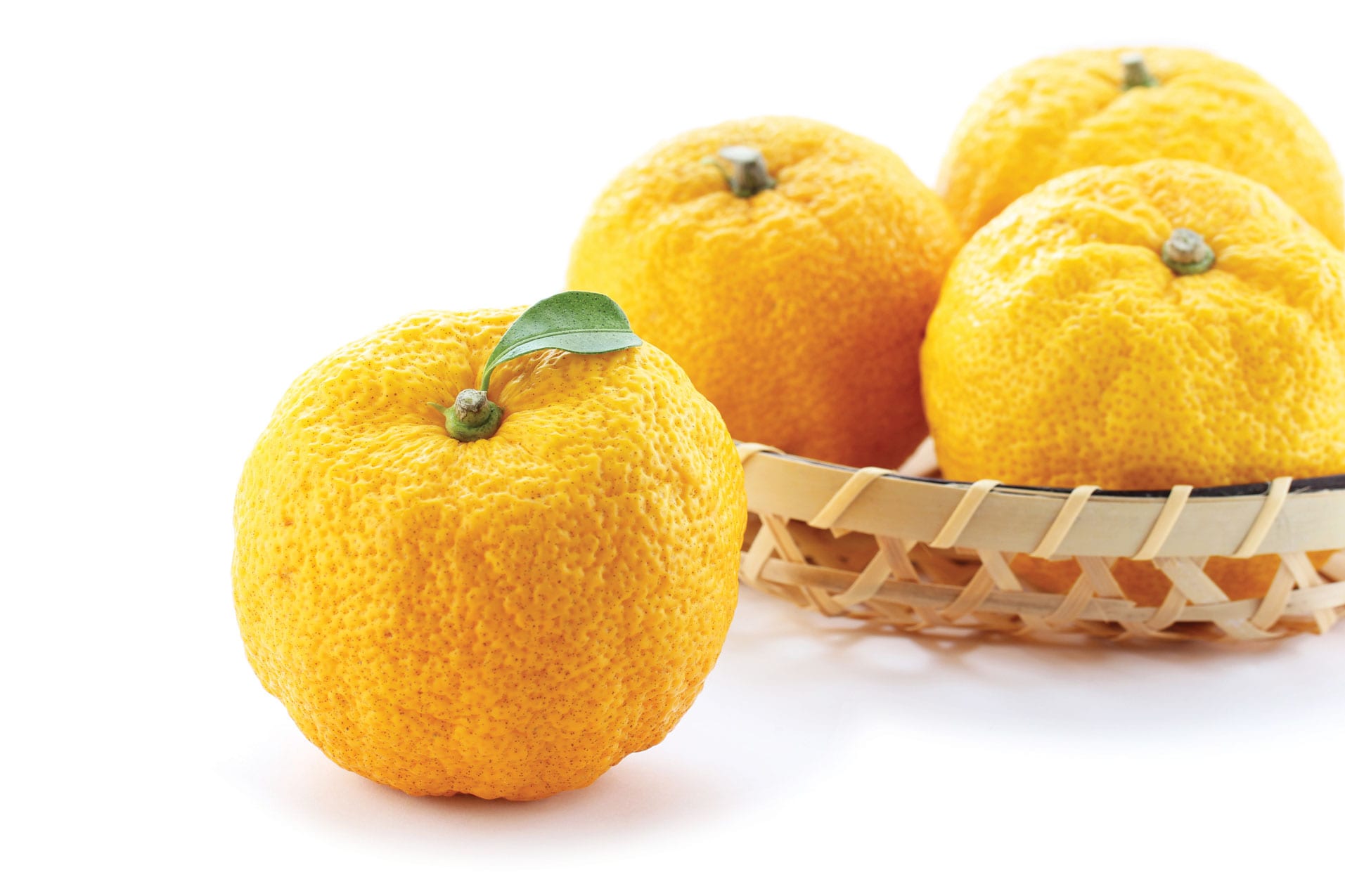 Yuzu - the aromatic Japanese citrus fruit