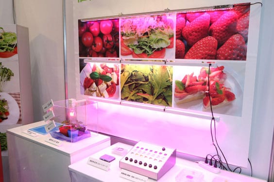 web14_Agro-Innovation-2