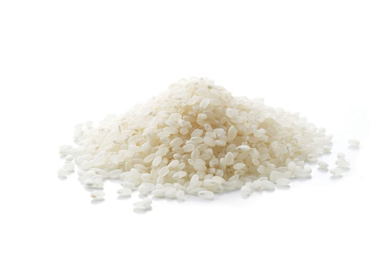 web19_P5Glorious-Rice