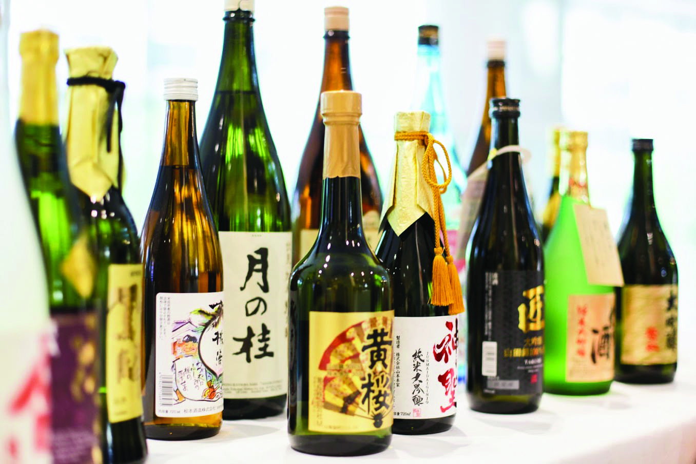 dragon spring sake dragon spring sake