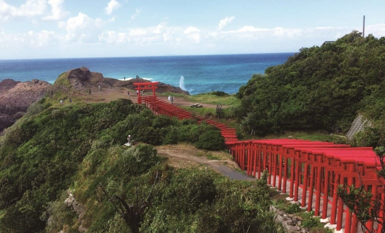 torii (1) (1)